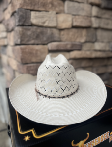 TENNESSEE HAT 500X TEXAS BICOLOR - Image 3